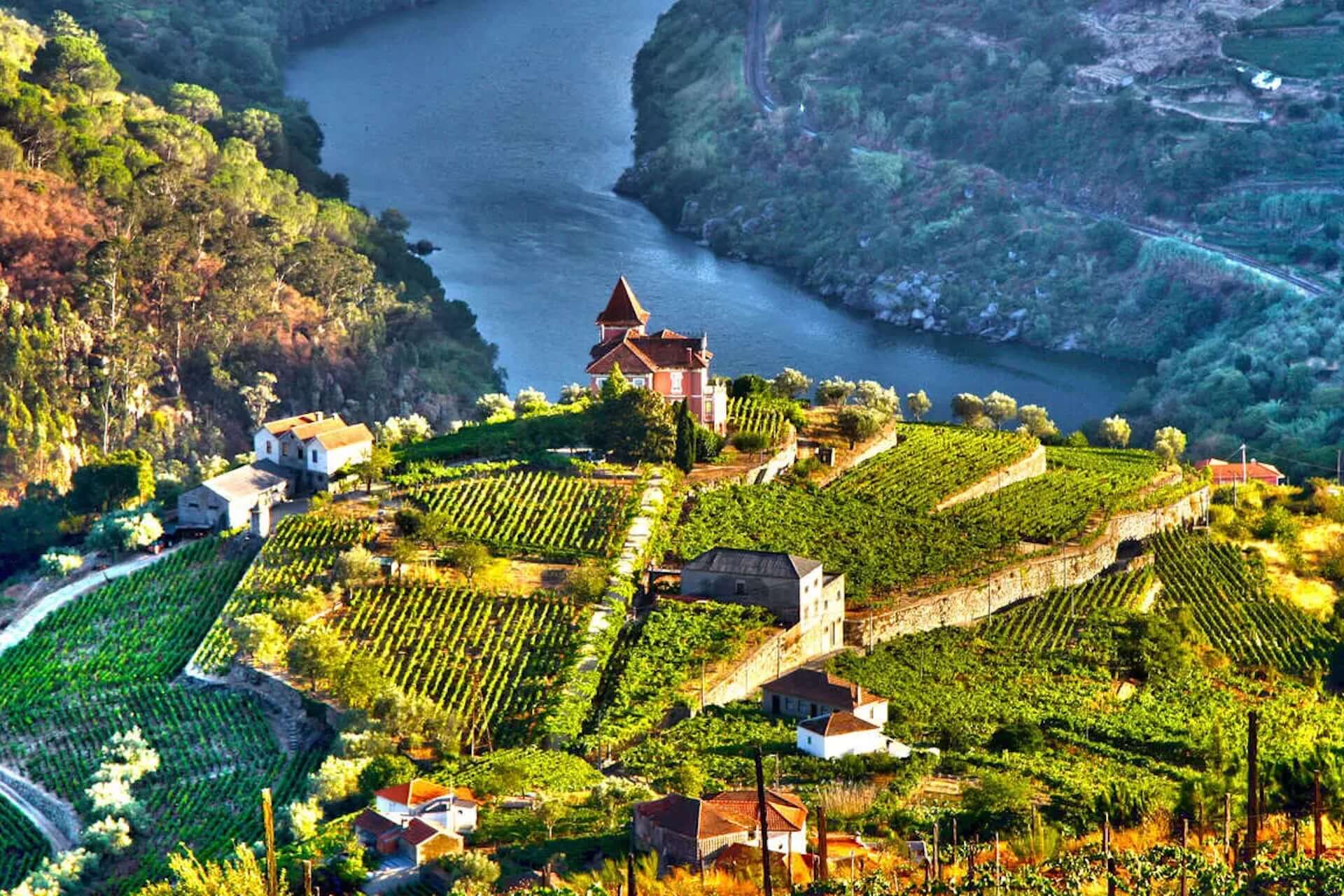 La vallée du Douro au Portugal