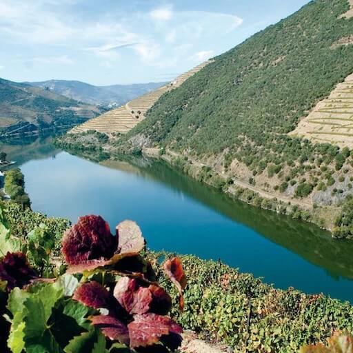 La vallée du Douro au Portugal