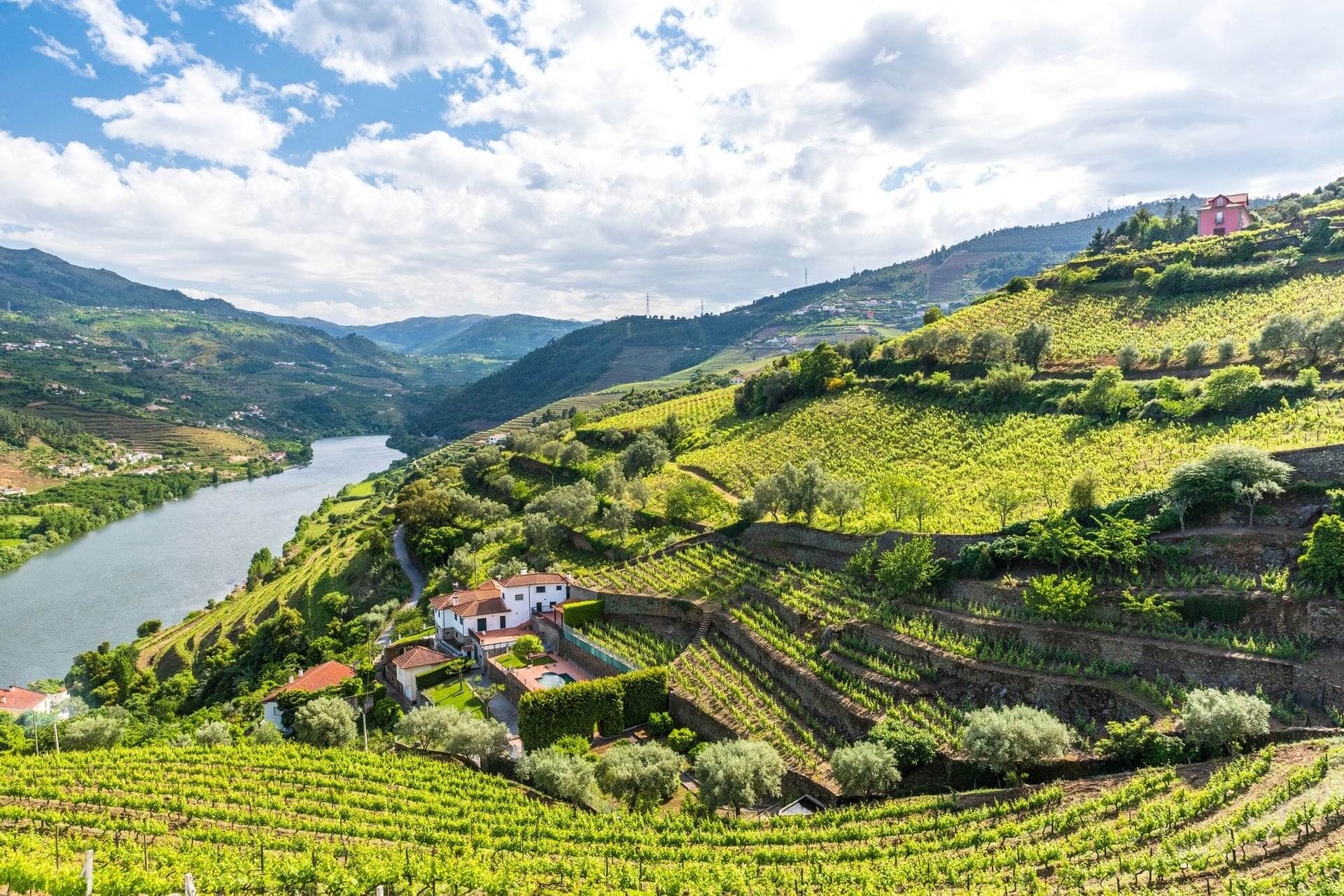 Description de la bannière de la région du Douro