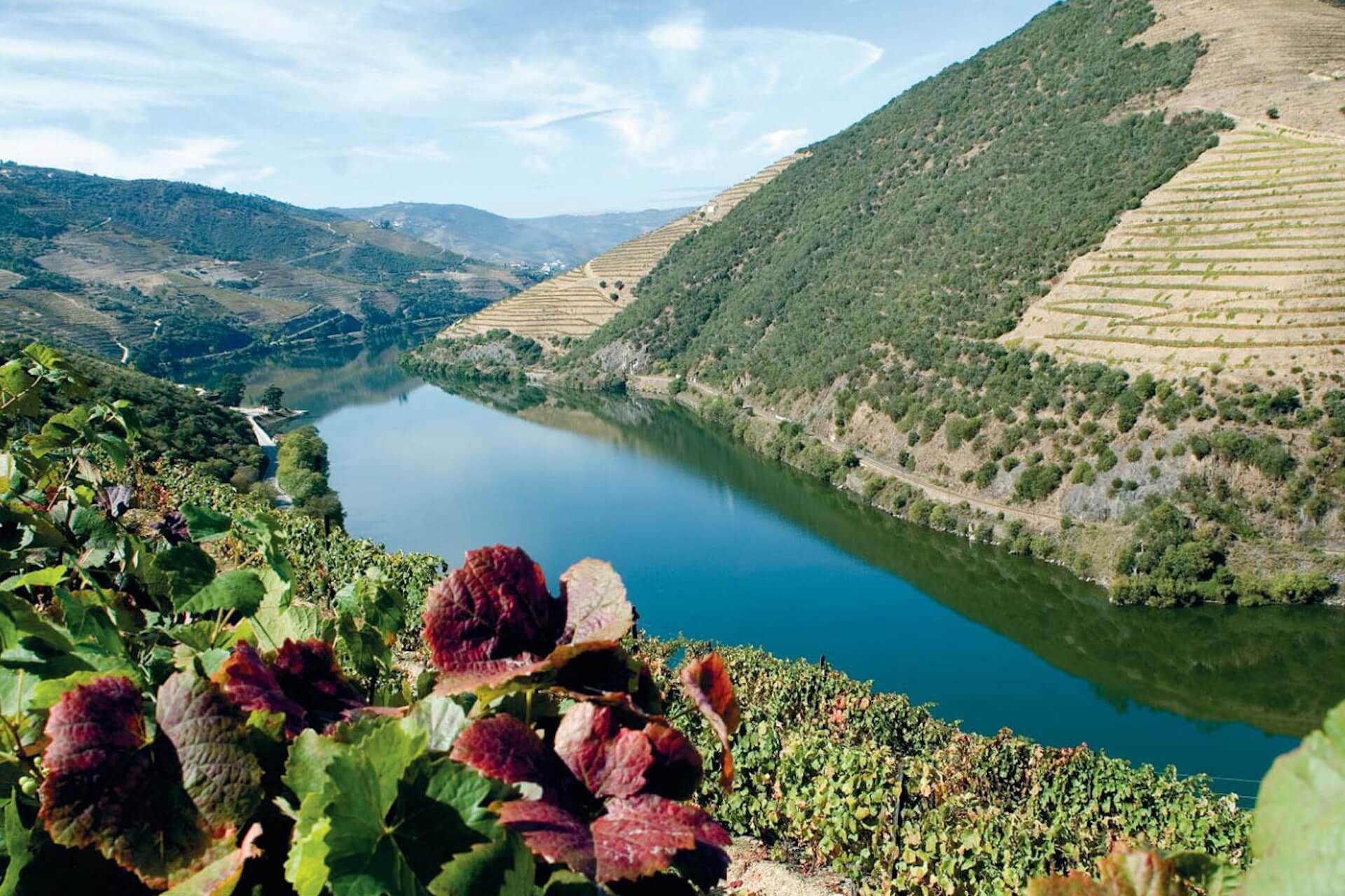 La vallée du Douro au Portugal